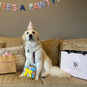 Meet your Posher, Sofie